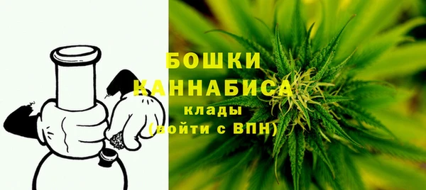 спиды Новодвинск