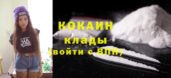 спиды Новодвинск