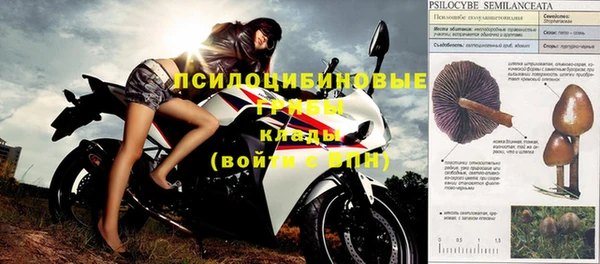 спиды Новодвинск