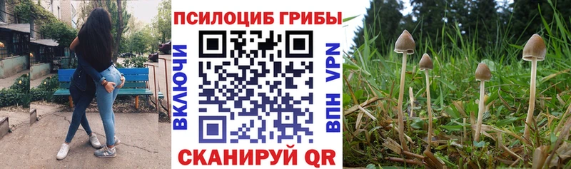 Псилоцибиновые грибы прущие грибы Лянтор