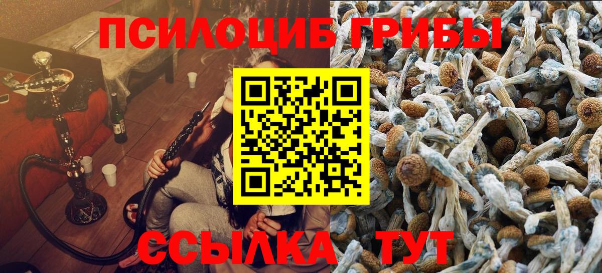 Псилоцибиновые грибы GOLDEN TEACHER Лянтор