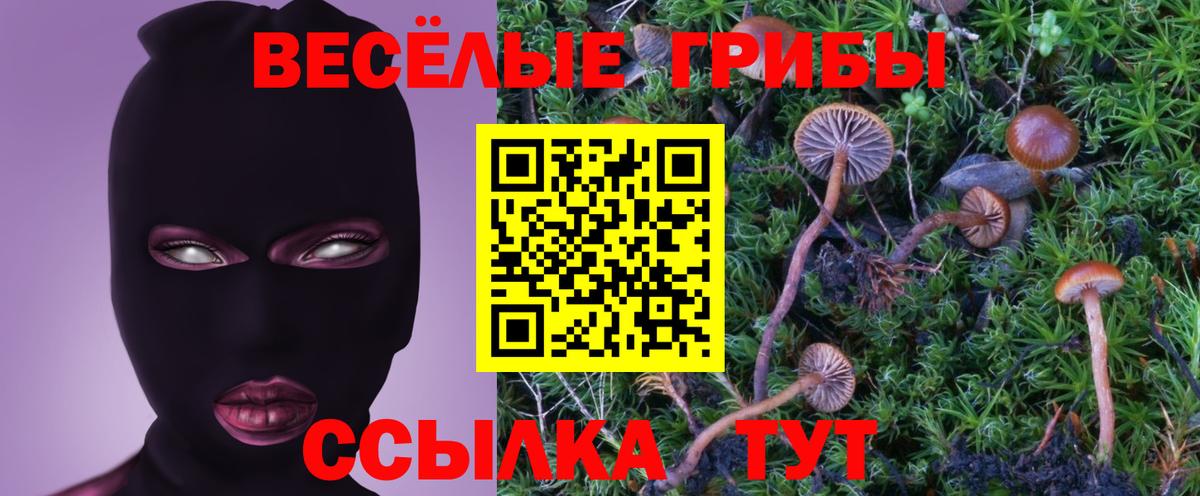 Галлюциногенные грибы GOLDEN TEACHER  Вход с VPN  Галлюциногенные грибы мухоморы  Лянтор 