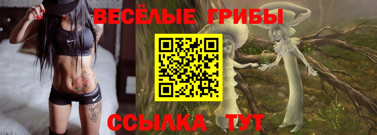 Псилоцибиновые грибы ЛСД Лянтор